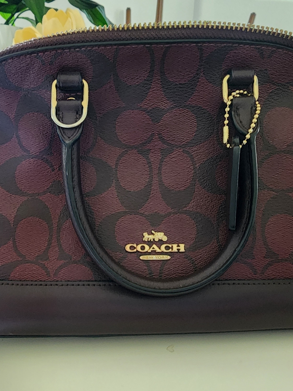Used Coach bag, but in very good condition; a bit stained with cosmetics on the